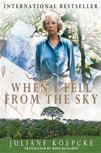 When I Fell From the Sky Cover