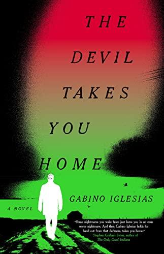 The Devil Takes You Home: A Novel Cover