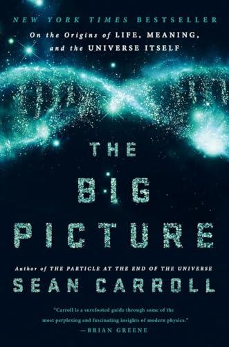 The Big Picture: On the Origins of Life, Meaning, and the Universe Itself Cover