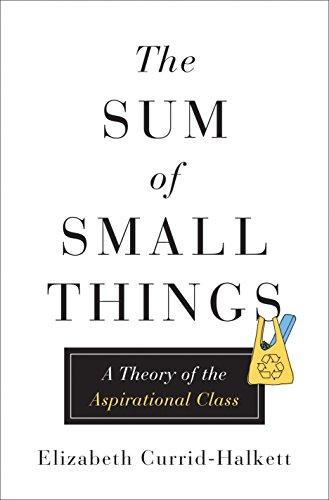 The Sum of Small Things: A Theory of the Aspirational Class Cover