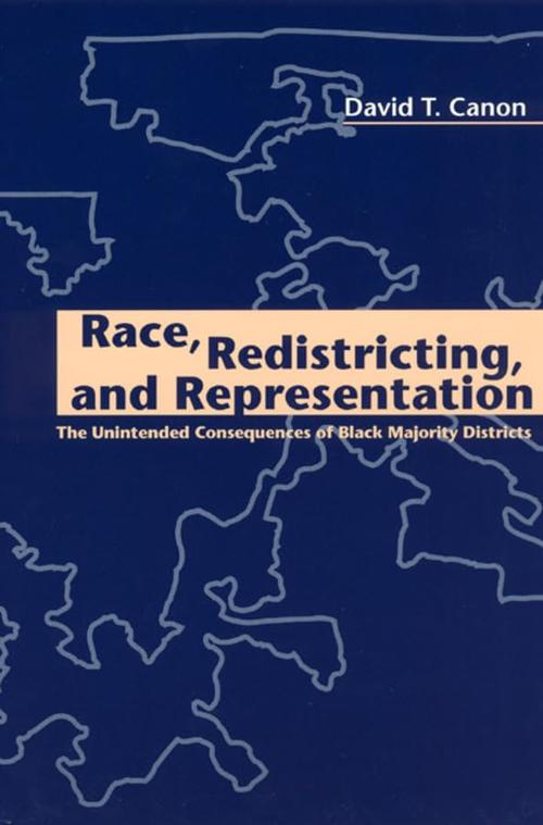 Race, Redistricting, and Representation: The Unintended Consequences of Black Majority Districts (American Politics and Political Economy Series) Cover