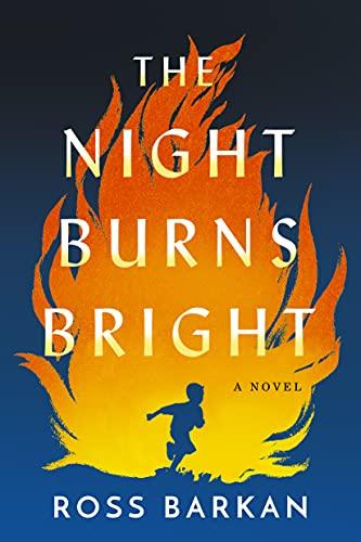 The Night Burns Bright: A Novel Cover