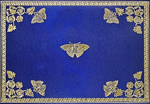 Gilded Butterflies Note Cards (14 cards, 15 self-sealing envelopes) Cover