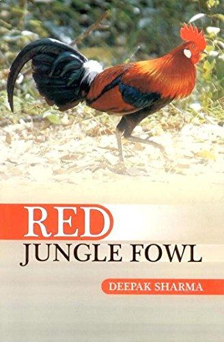 Red Jungle Fowl Cover