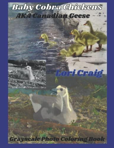 Baby Cobra Chickens AKA Canadian Geese Grayscale Photo Coloring Book: You Bring the Color! Cover