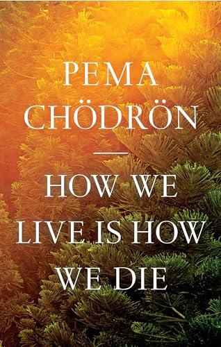 How We Live Is How We Die Cover