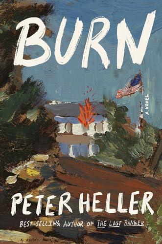 Burn: A novel Cover