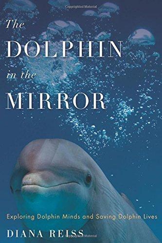 The Dolphin in the Mirror: Exploring Dolphin Minds and Saving Dolphin Lives Cover