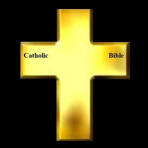 Catholic Bible: Douay-Rheims English Translation Cover