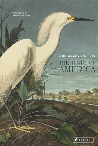 The Birds of America Cover