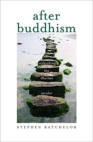After Buddhism: Rethinking the Dharma for a Secular Age Cover
