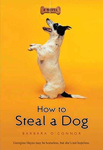 How to Steal a Dog: A Novel Cover