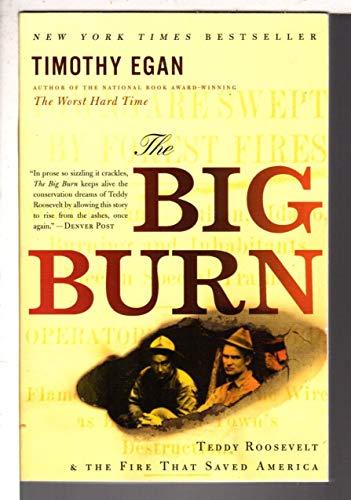 The Big Burn: Teddy Roosevelt and the Fire That Saved America Cover