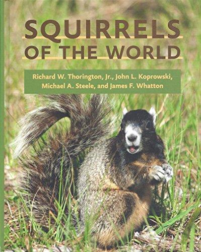 Squirrels of the World Cover