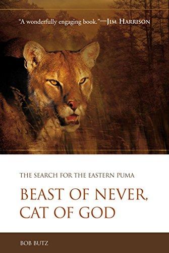 Beast of Never, Cat of God: The Search for the Eastern Puma Cover