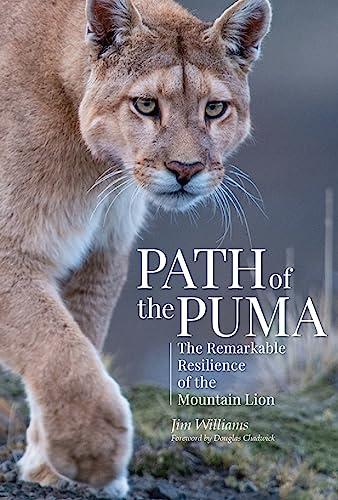 Path of the Puma: The Remarkable Resilience of the Mountain Lion Cover