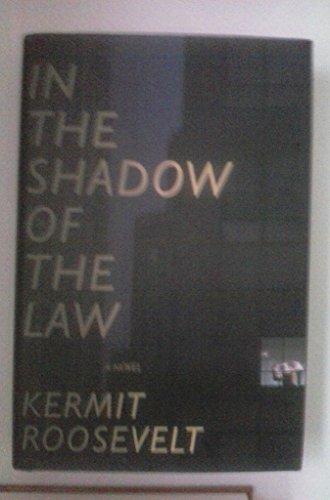 In the Shadow of the Law: A Novel Cover
