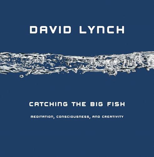 Catching the Big Fish: Meditation, Consciousness, and Creativity Cover