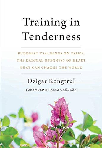 Training in Tenderness: Buddhist Teachings on Tsewa, the Radical Openness of Heart That Can Change the World Cover