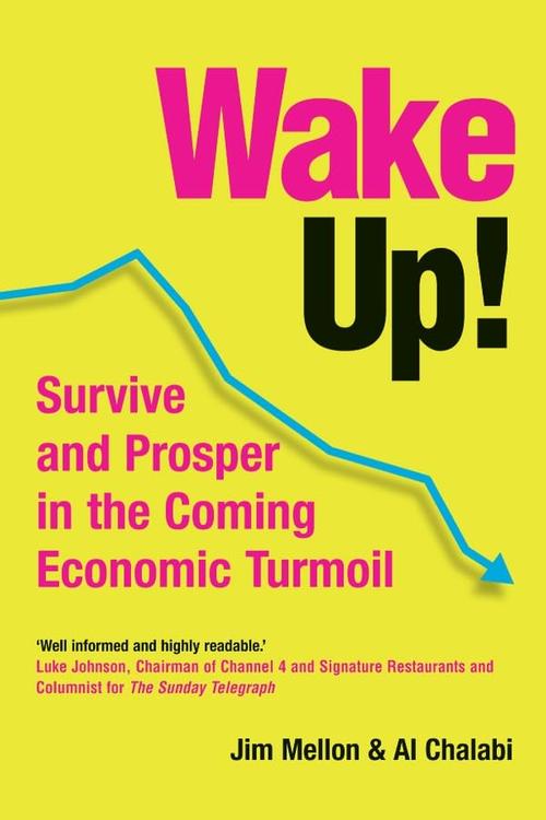 Wake Up!: Survive and Prosper in the Coming Economic Turmoil Cover