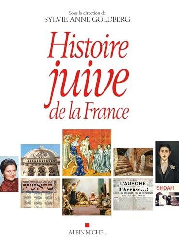Histoire juive de la France cover