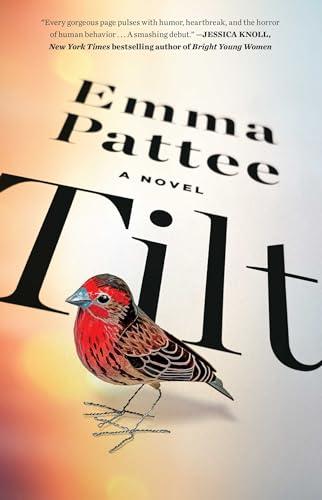 Tilt: A Novel cover