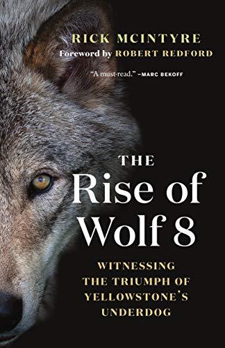 The Rise of Wolf 8: Witnessing the Triumph of Yellowstone's Underdog (The Alpha Wolves of Yellowstone, 1) Cover