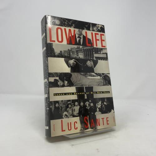 Low Life: Lures and Snares of Old New York Cover