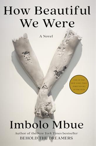 How Beautiful We Were: A Novel Cover