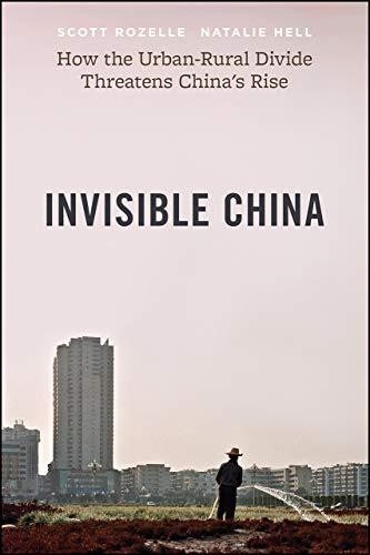 Invisible China: How the Urban-Rural Divide Threatens China’s Rise Cover
