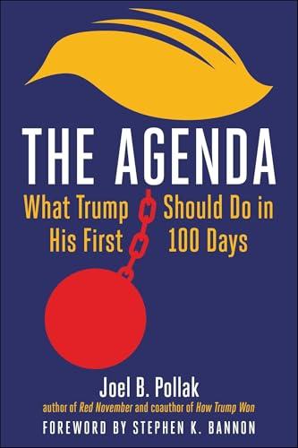 Agenda: What Trump Should Do in His First 100 Days Cover