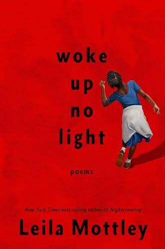 woke up no light: poems Cover