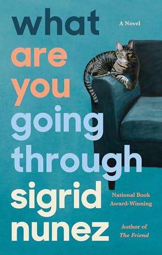 What Are You Going Through: A Novel Cover