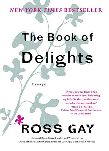 The Book of Delights: Essays Cover