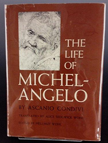 The life of Michelangelo Cover