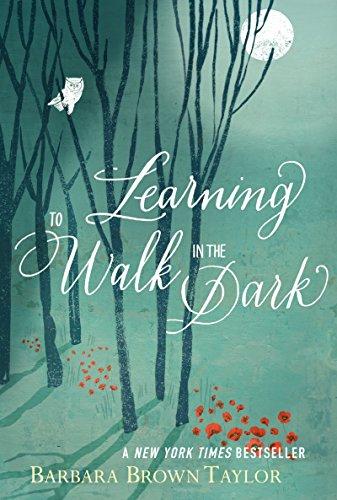 Learning to Walk in the Dark Cover