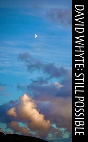 Still Possible Cover