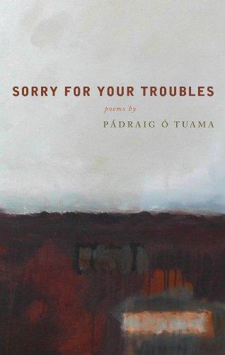 Sorry For Your Troubles Cover