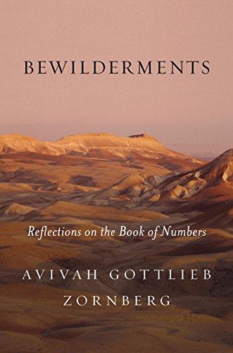 Bewilderments: Reflections on the Book of Numbers Cover
