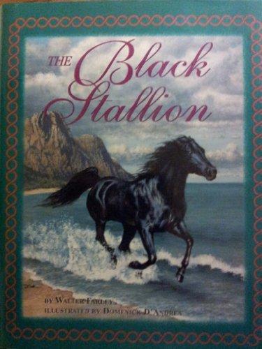 The Black Stallion (Black Stallion (Paperback)) Cover