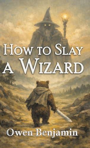 How to Slay a Wizard Cover
