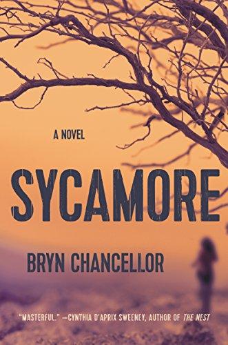 Sycamore: A Novel Cover