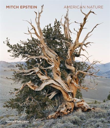 Mitch Epstein: American Nature Cover