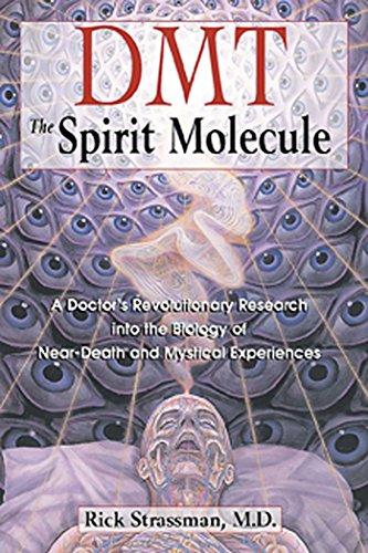 DMT: The Spirit Molecule: A Doctor's Revolutionary Research into the Biology of Near-Death and Mystical Experiences Cover