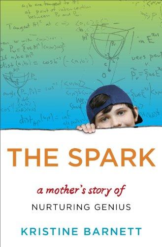 The Spark: A Mother's Story of Nurturing, Genius and Autism Cover