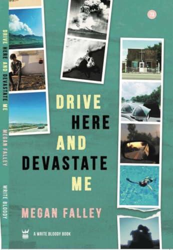 Drive Here and Devastate Me Cover