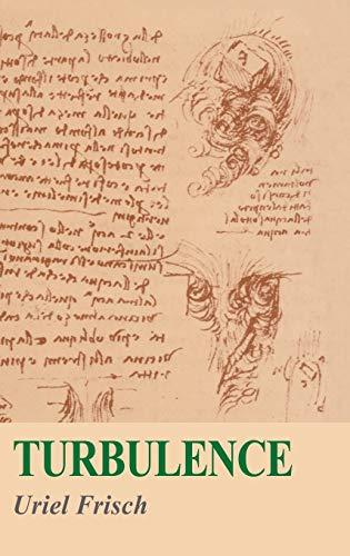 Turbulence: The Legacy of A. N. Kolmogorov Cover