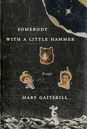 Somebody with a Little Hammer: Essays Cover
