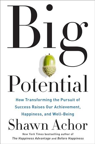 Big Potential: How Transforming the Pursuit of Success Raises Our Achievement, Happiness, and Well-Being Cover