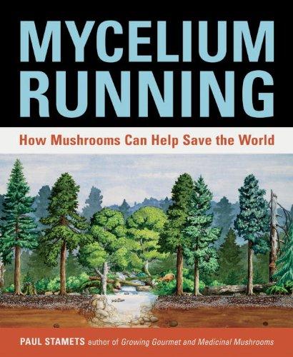 Mycelium Running: How Mushrooms Can Help Save the World Cover